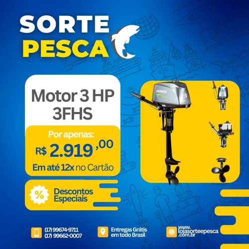 Motor 3 Hp 2 Tempos 3FHS Hidea