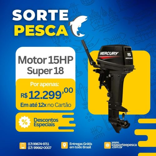 Motor  15 Hp Super 18 Mercury